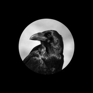 杨颖大胸被揉到高潮下不了床
